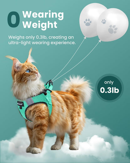 FAYOGOO adjustable pet vest harness dual D ring leash attachment back view