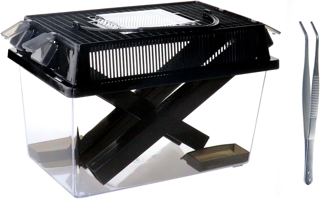 Naneezoo Cricket Keeper large front view with dispenser tubes