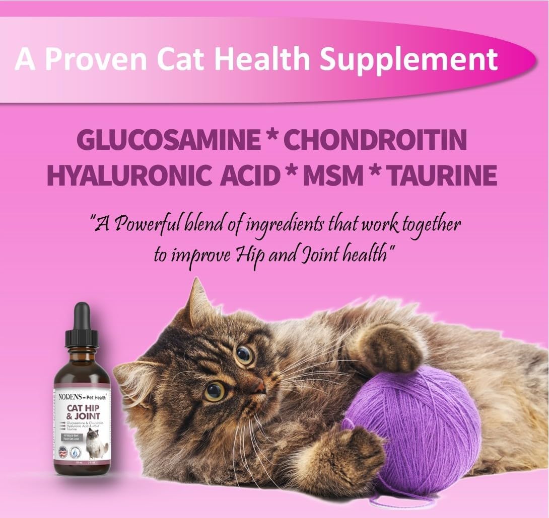 Nodens cat joint supplement amber bottle with dropper