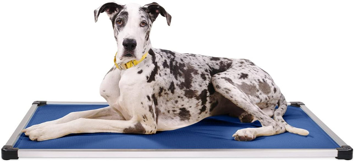 K9 Ballistics Chew Proof Armored Padded Dog Crate Bed, Virtually Indestructible, Legs Included (Blue Quartz, Large (41" L x 27" W x 5" H)) - Image 15
