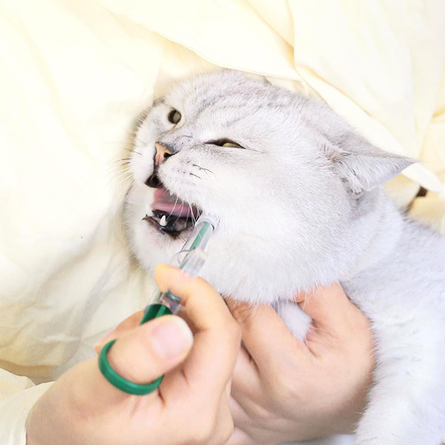 QIYADIN oral pet pill injector for small animals and puppies packaging view