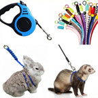 Generic escape proof small pet harness front view showing the complete blue retractable leash and dual rope vests.