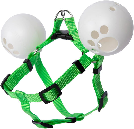 Yorkshire Terrier wearing FenceMate escape-proof harness