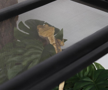 Close up of lifelike Woledoe Monstera foliage for terrariums