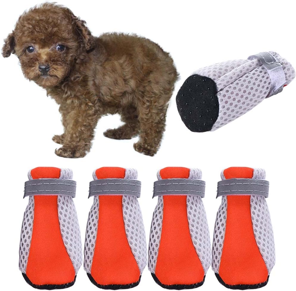 Sunweihaoa dog shoes worn by small dog on sidewalk