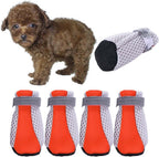 Sunweihaoa dog shoes worn by small dog on sidewalk