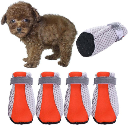 Sunweihaoa dog shoes worn by small dog on sidewalk