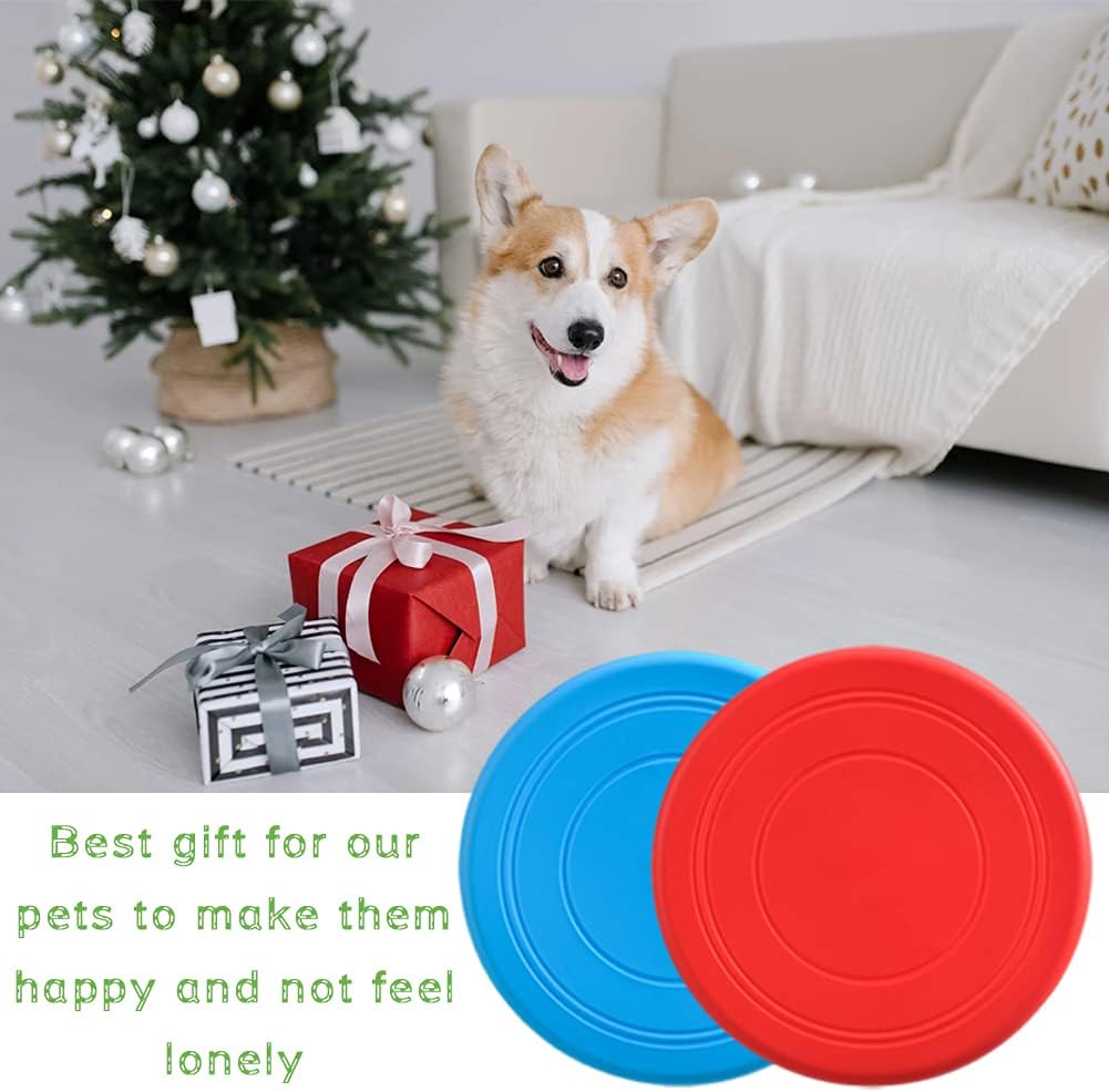 Size comparison of 7 inch Bvrbaory dog disc