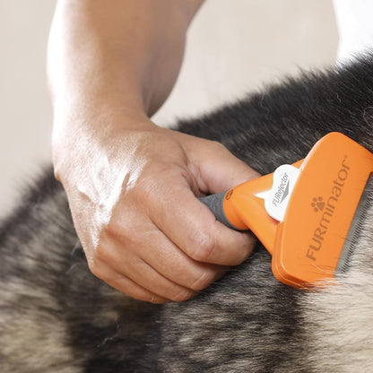 The imported FURminator tool for medium dogs weighing nine to twenty three kilograms in its original packaging