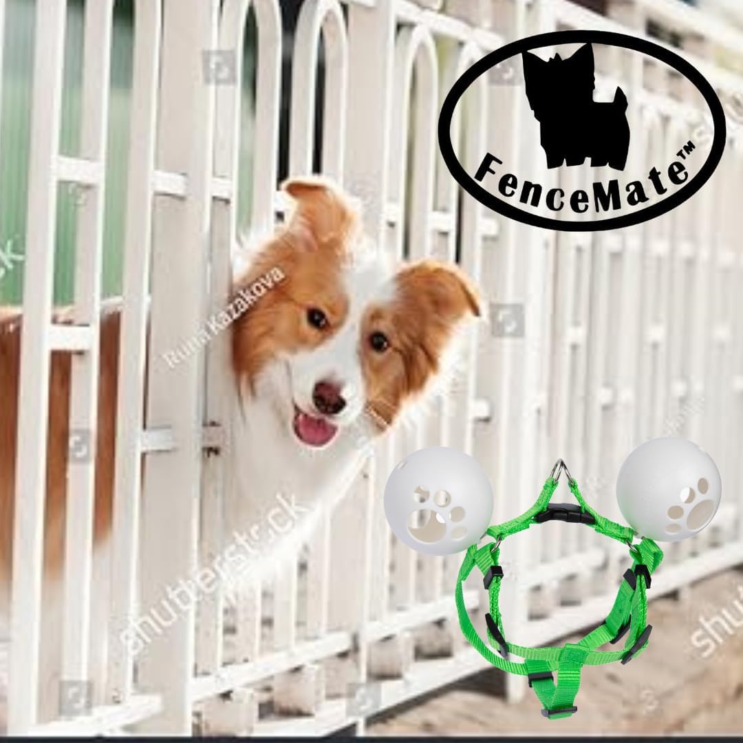 Small dog safely behind metal fence wearing FenceMate