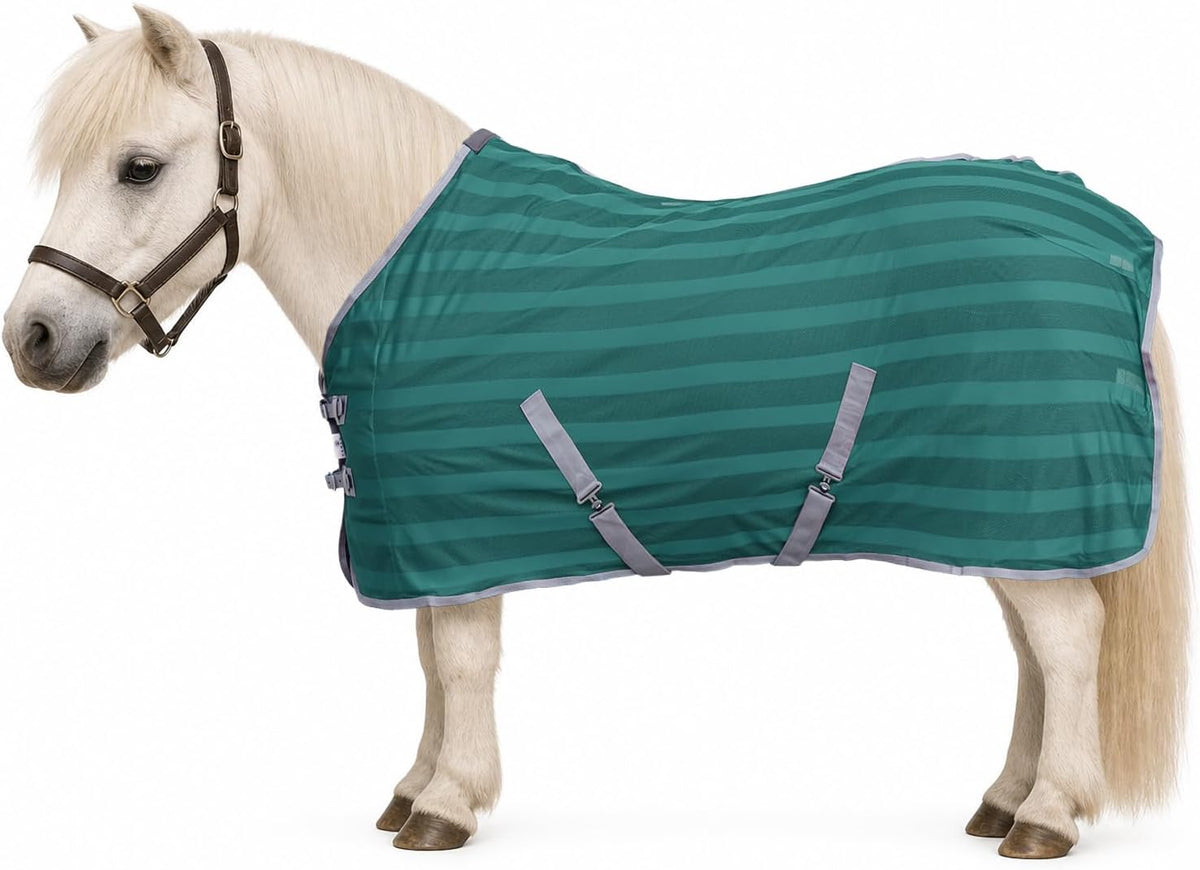 Challenger Lite and Airy Mesh Fly Sheet Mini Pony front view premium protective summer horse rug