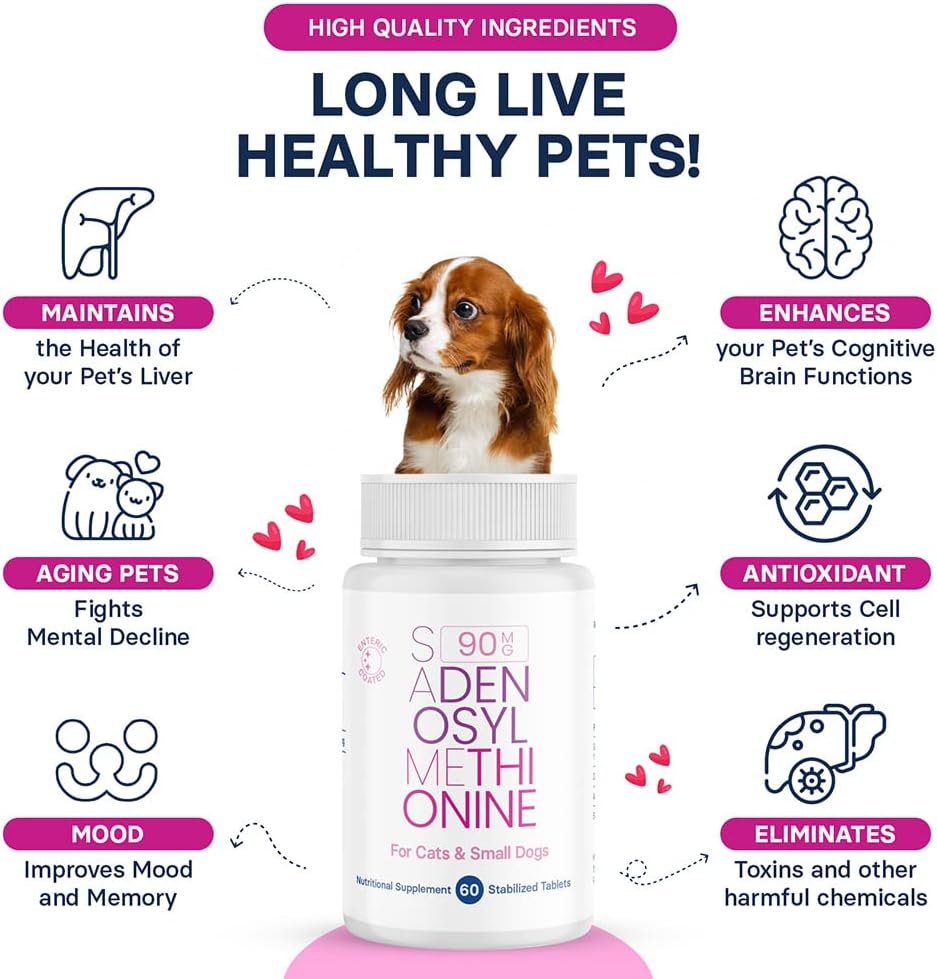 Generic SAM-e Liver and Brain Health Supplement for Small Dogs & Cats, S-aDENOSYLmethionine (Same), 60 Coated Tablets - Image 5