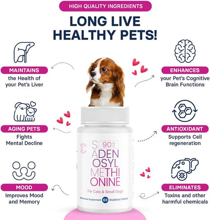 Generic SAM-e Liver and Brain Health Supplement for Small Dogs & Cats, S-aDENOSYLmethionine (Same), 60 Coated Tablets - Image 5
