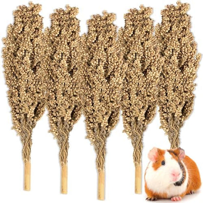 Sukh Natural Hamster Sprays - 5pcs Natural Sun-Dried Red Sorghum Grain,Flower & Herb Grain Stalks for Cage Habitat Bedding Decor for Dwarf Syrian Hamsters,Gerbils,Mice,Cockatiels - Image 2