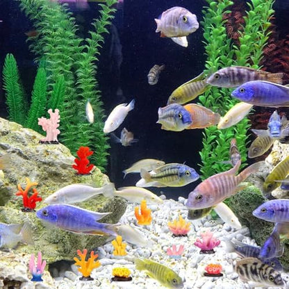 Package assortment of twenty four pieces mini resin coral statues