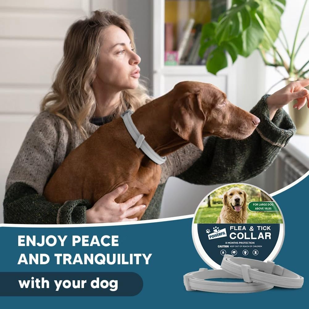 Adjustable grey silicone dog flea collar detail