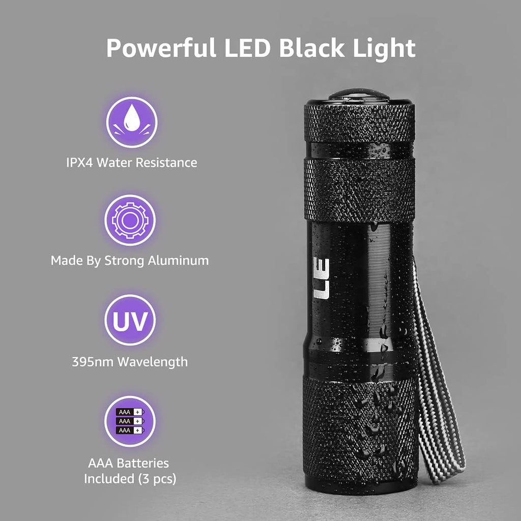 Lighting EVER 395nm black light showing official document security features.