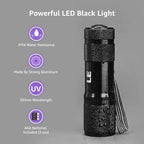 Lighting EVER 395nm black light showing official document security features.