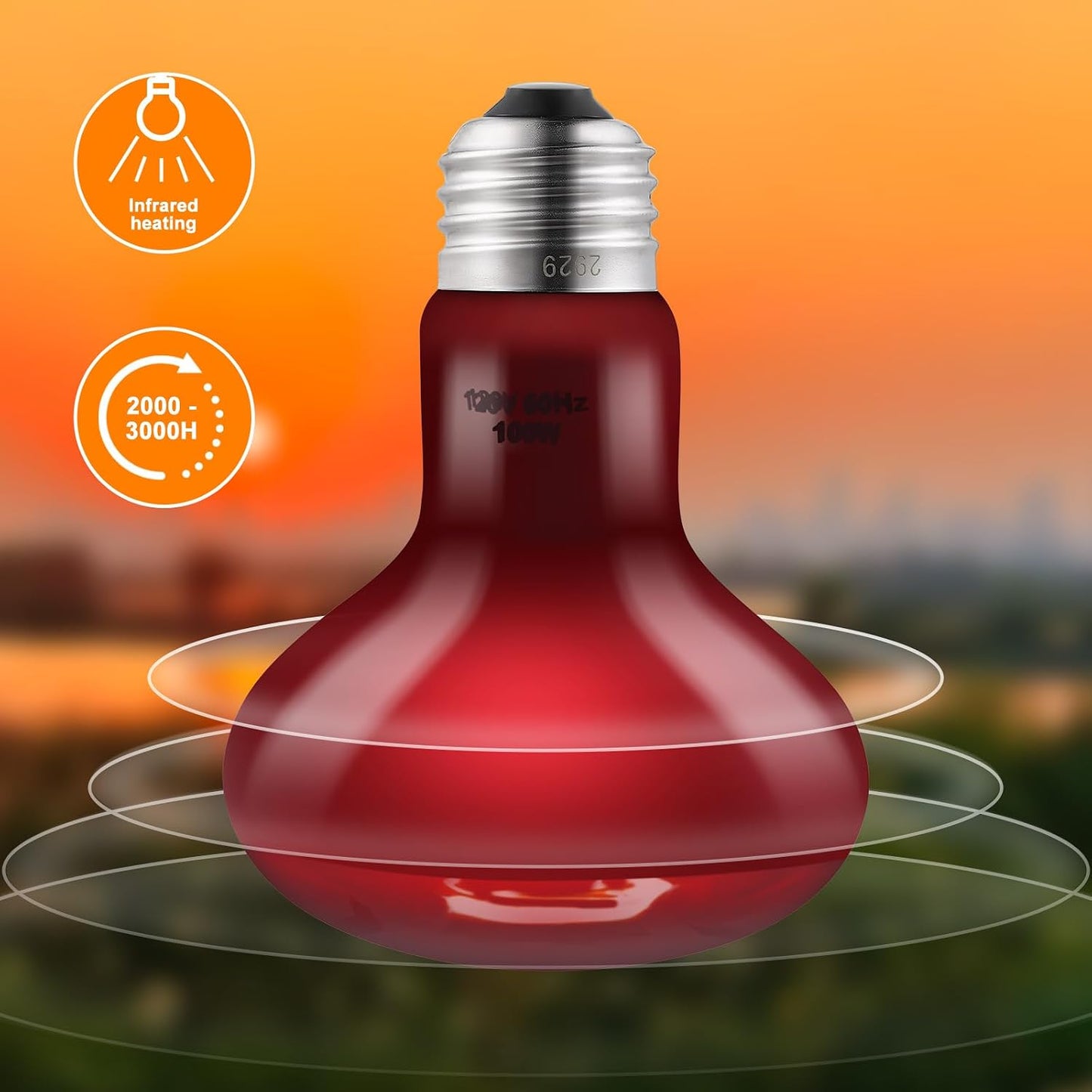 DXOPHIEX dual heating bulb set packaging for bearded dragons and turtles.
