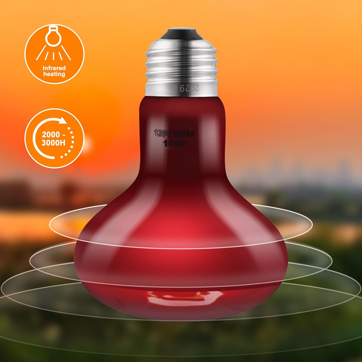 DXOPHIEX dual heating bulb set packaging for bearded dragons and turtles.