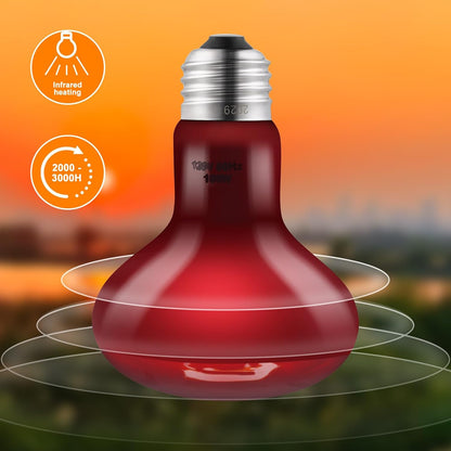 DXOPHIEX dual heating bulb set packaging for bearded dragons and turtles.