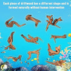 Authentic USA imported aquarium driftwood pieces displaying charred smooth ends and unique twisting forms.
