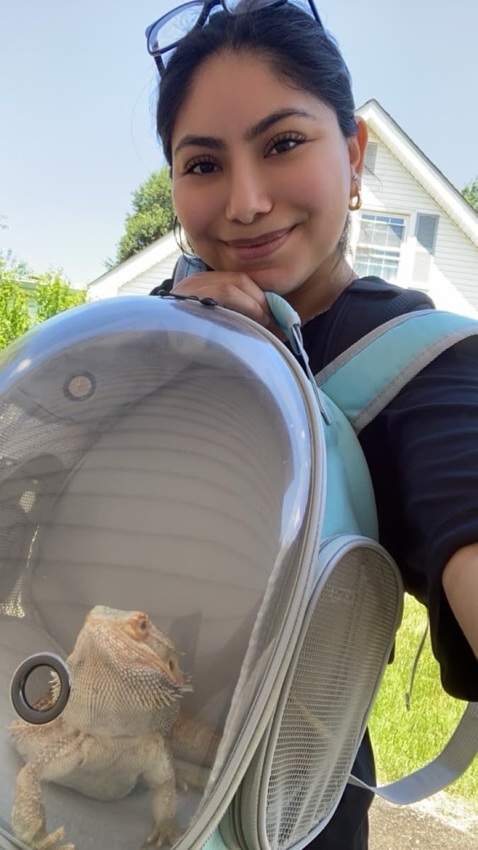 Bearded Dragon Backpack Carrier,Reptile Portable Backpack Carrier with Small Backpack Harness Leash Set,Space Capsule Clear Bubble Window Travel Backpack for Lizard Travel,Guinea Pig,Rabbit - Image 8