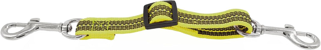 Herm Sprenger safety clip attached to dog collar