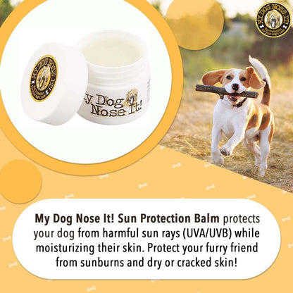 Dog nose application of My Dog Nose It sun protection balm