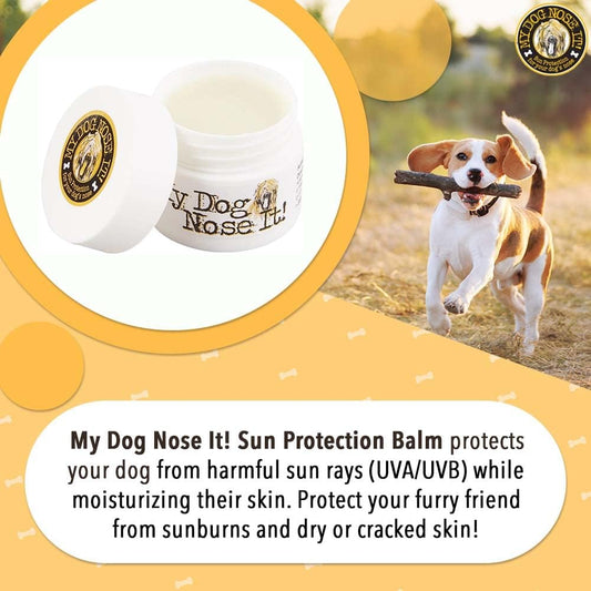 Dog nose application of My Dog Nose It sun protection balm