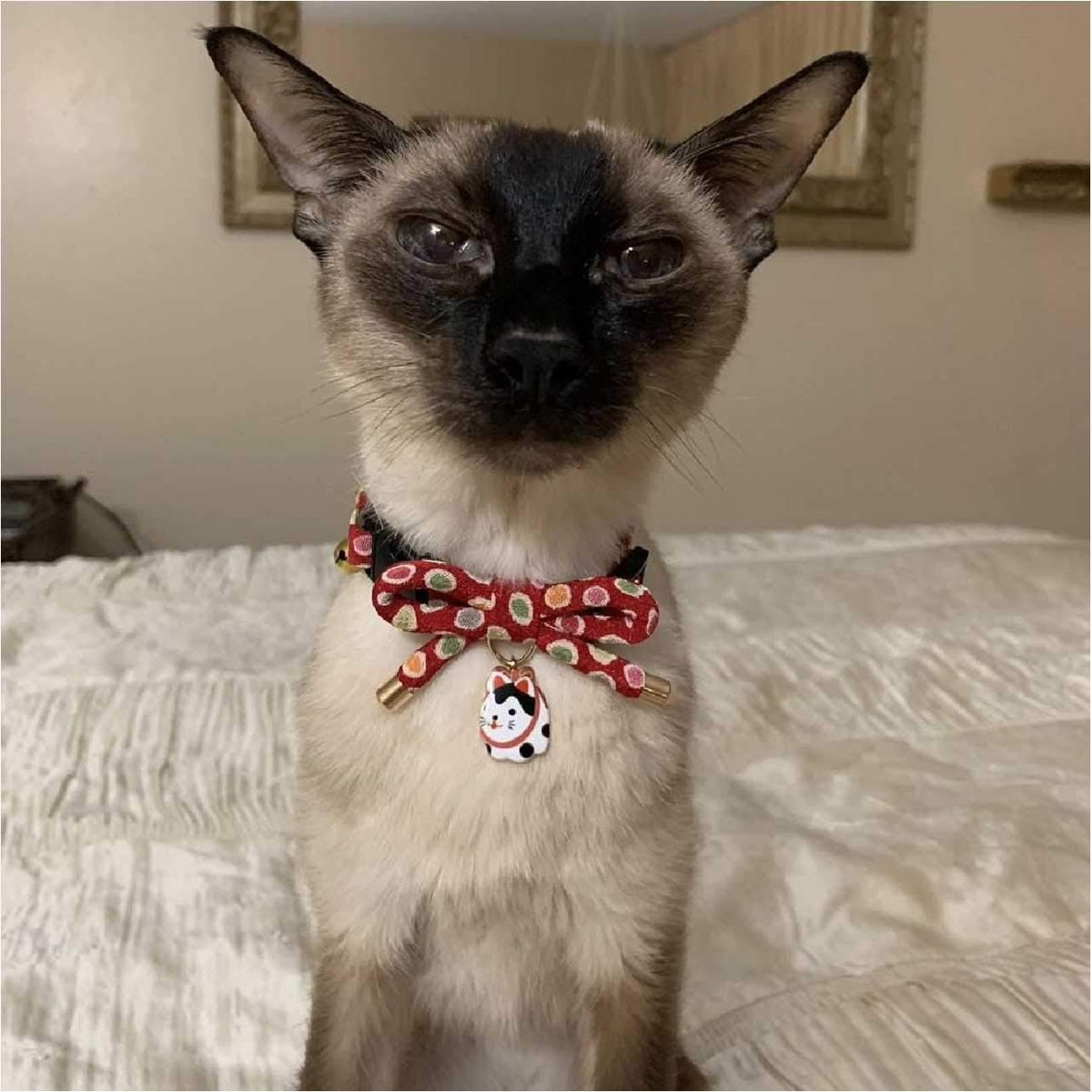 Detailed texture view of soft kimono fabric cat collar