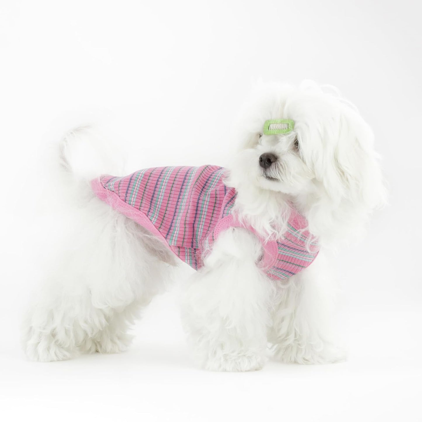 Comfortable cotton rib dog shirt for Chihuahua and Yorkie