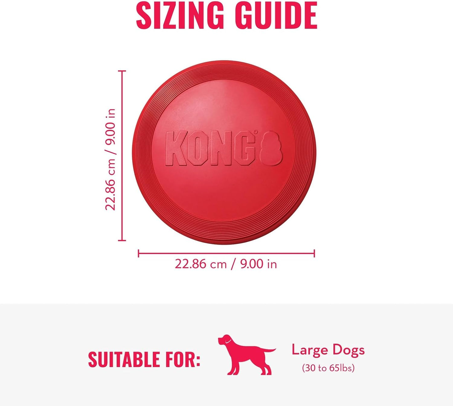 Owner throwing Kong Flyer to a large dog