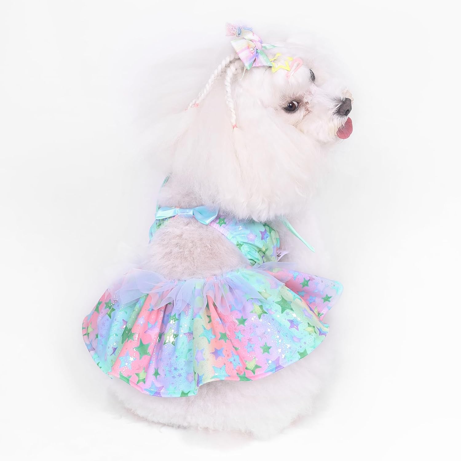 CuteBone One Piece Dog Bikini Swimsuit Dress - Puppy Bathing Suit Costume for Small Dogs - Comfortable & Stylish Pet Clothes for Summer Pool, Beach & Play LTDB11L - Image 13