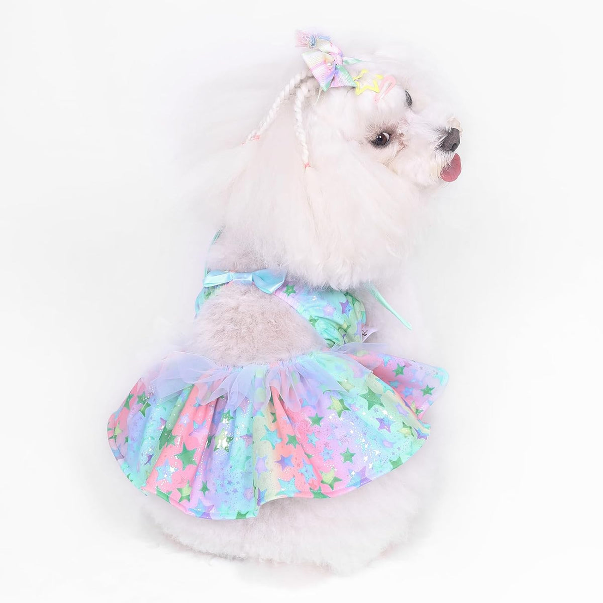 CuteBone One Piece Dog Bikini Swimsuit Dress - Puppy Bathing Suit Costume for Small Dogs - Comfortable & Stylish Pet Clothes for Summer Pool, Beach & Play LTDB11L - Image 13