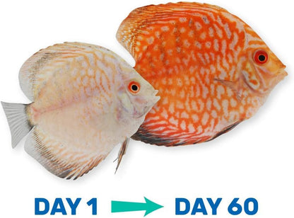Hikari Tropical Vibra Bites feeding instructions for aquarium fish