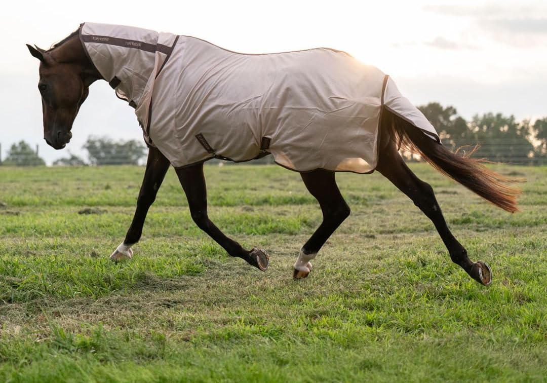 TuffRider fly sheet showing integrated combo neck coverage