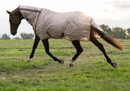 TuffRider fly sheet showing integrated combo neck coverage