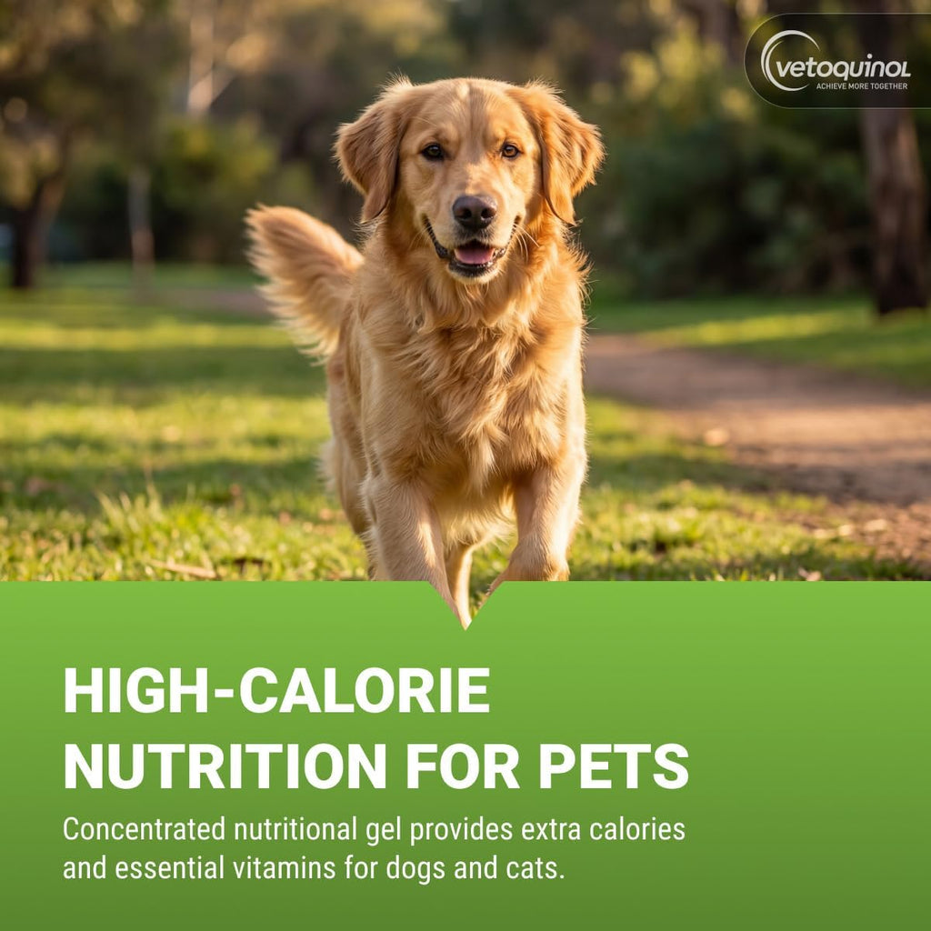 Vetoquinol Nutri-Cal nutritional supplement gel packaging details