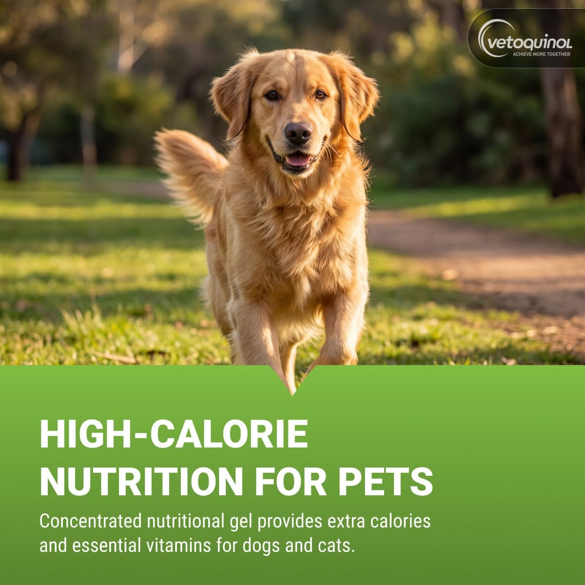 Vetoquinol Nutri-Cal nutritional supplement gel packaging details