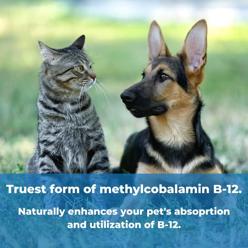 Authentic USA imported Pet Factor B-12 bottle