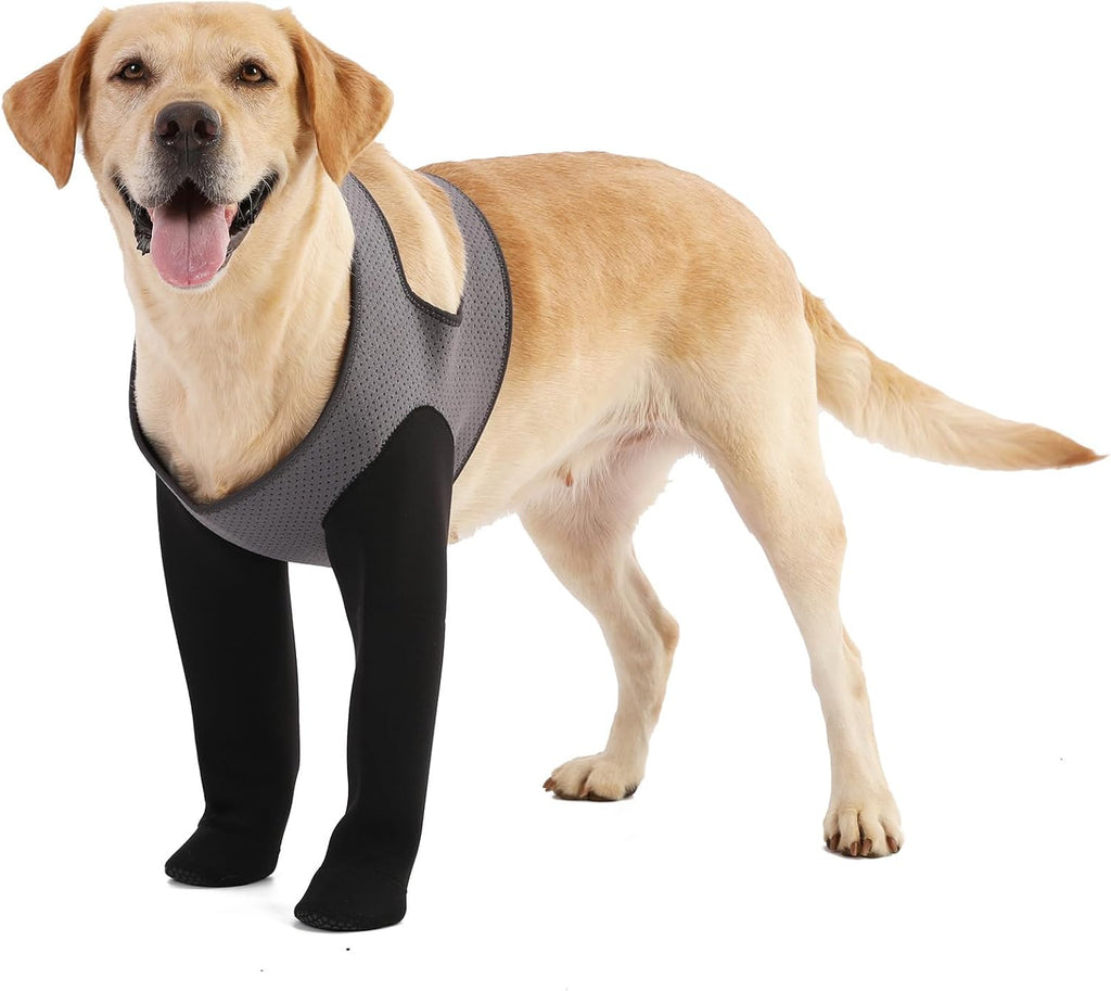 Grettytling dog socks for indoor and outdoor protection