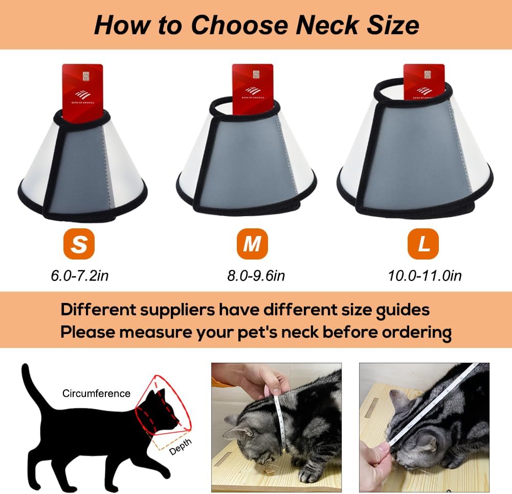 Vivifying lightweight pet cone side angle display
