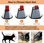 Vivifying lightweight pet cone side angle display