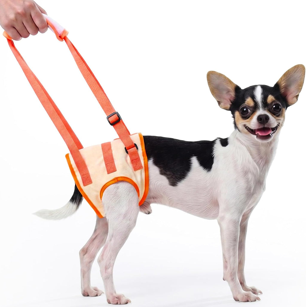 Allroaring Dog Lift Harness for Small Medium Dogs, Adjustable Doggy Back Leg Sling to Help Walk and Rehabilitate,Soft Padded Pet Support Harness for Arthritic,Disabled,Senior,Injured,Orange,M - Image 9