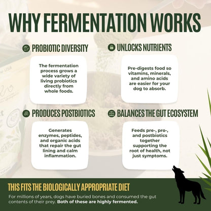 Close up view of the small batch fermented organic formula for pet wellness.