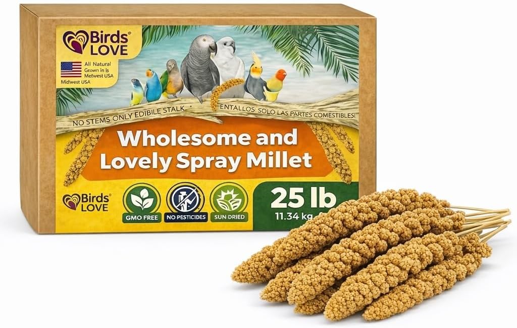 Birds LOVE 1 LB Wholesome Spray Millet for Birds - USA Grown, Natural Sun-Dried Millet Sprays - Thick Seed-Rich Clusters for Parakeets, Budgies, Cockatiels, Conures, Finches & Parrots - Image 12