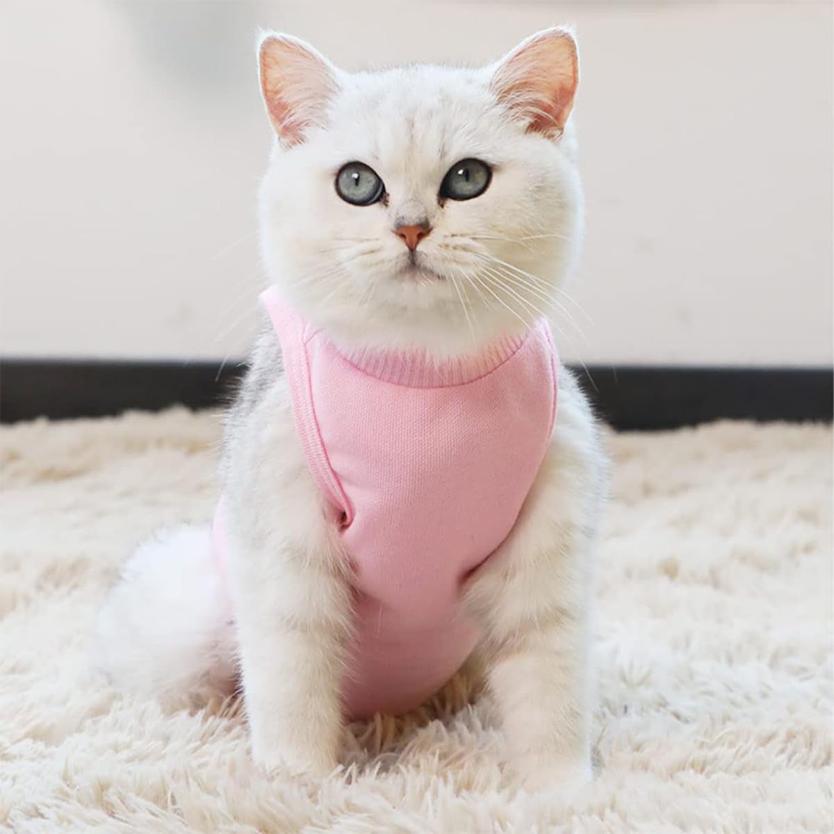 Rear view of breathable cat spay recovery garment