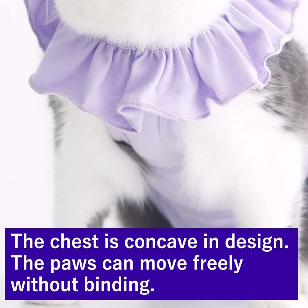 Cat using litter box while wearing recovery suit