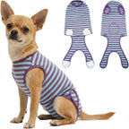 Paipeper imported USA pet recovery garment for abdominal incision care
